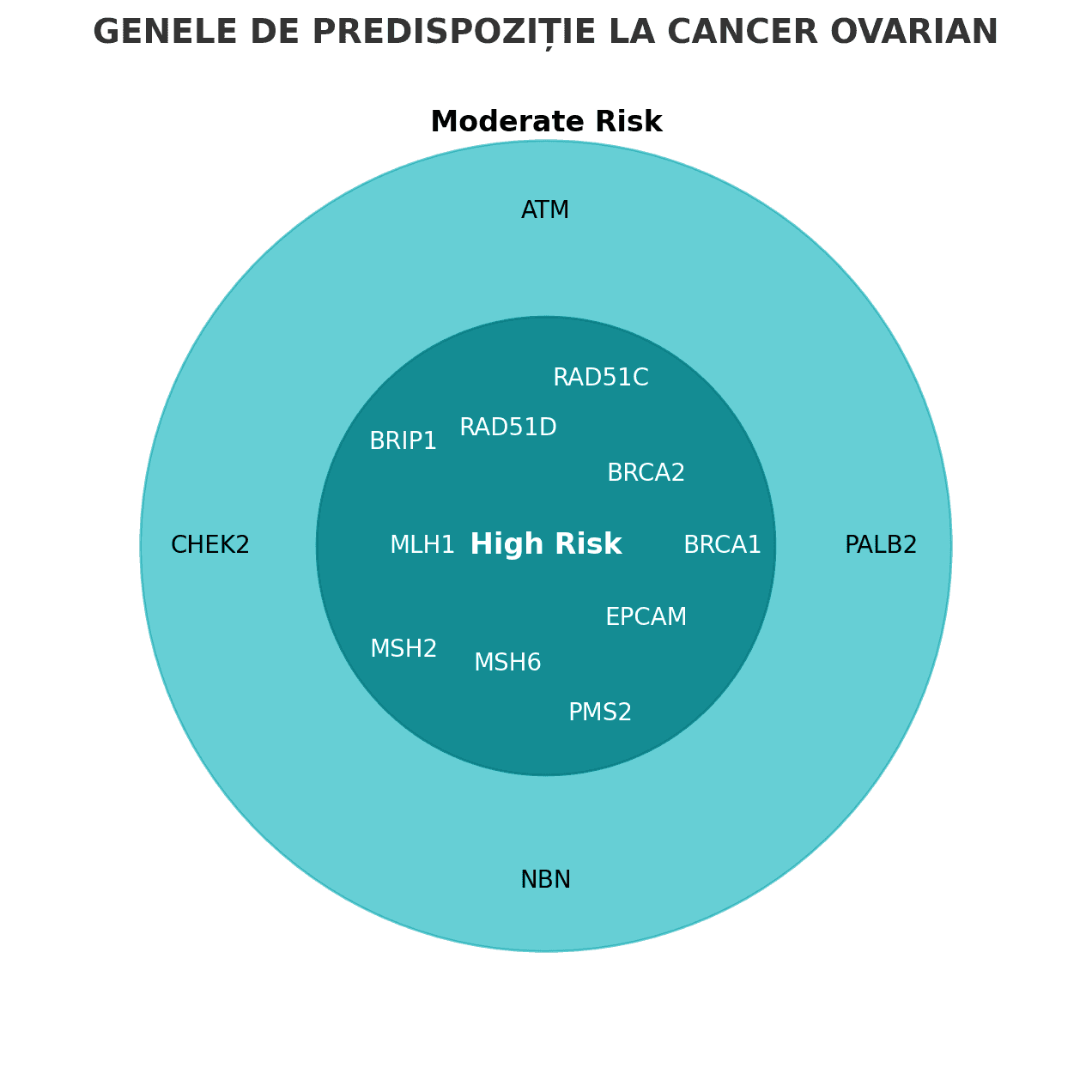 Ilustrație: image1.png